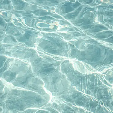 Ocean